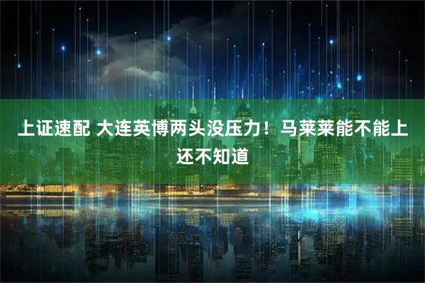 上证速配 大连英博两头没压力！马莱莱能不能上还不知道